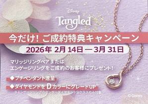 ラプンツェルご成約特典キャンペーン